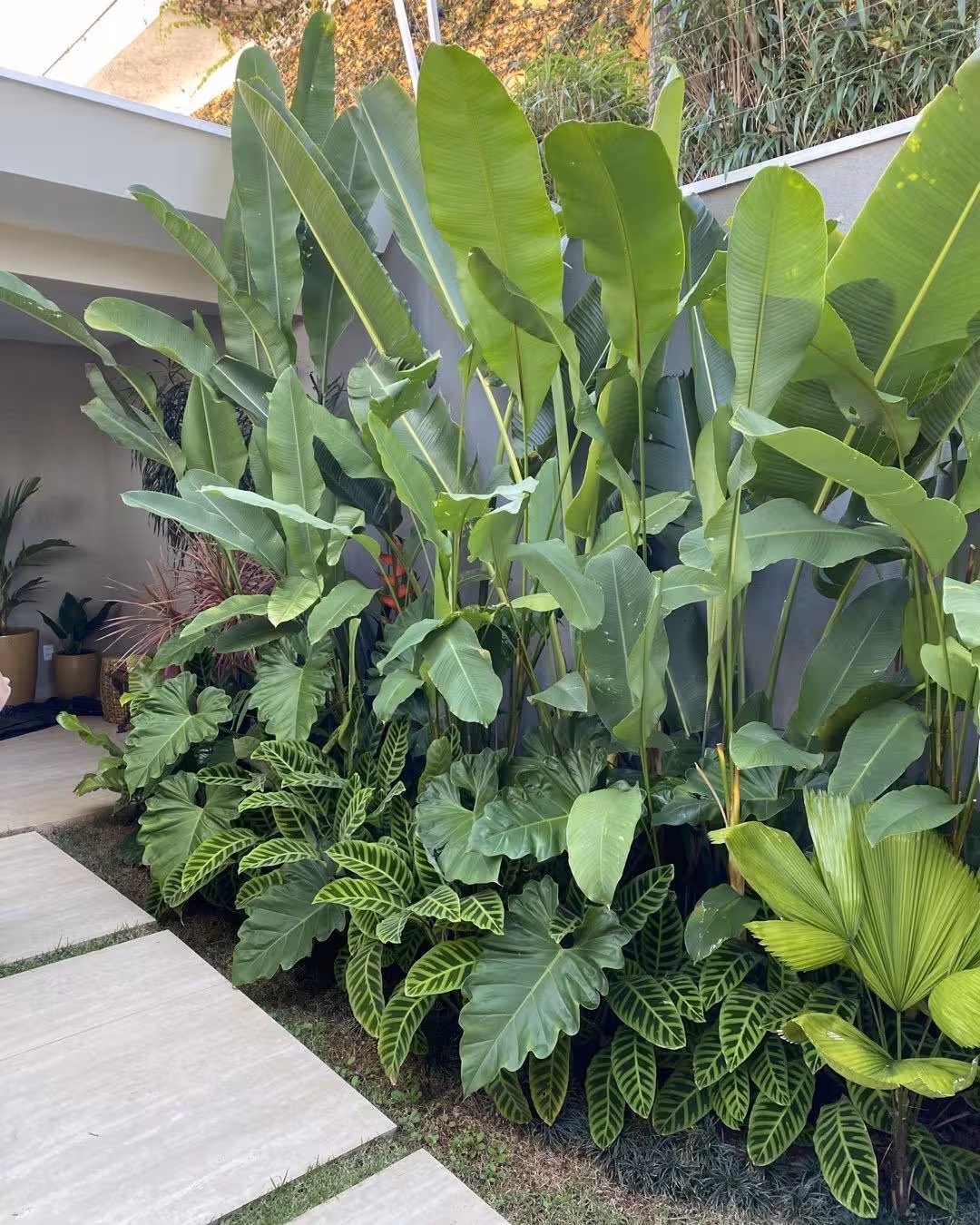 Tropical Garden: Jasa Tukang Taman Tropis Vendor Resmi & Bergaransi
