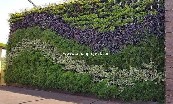 Tukang Taman Vertikal - Spesialis Jasa Vertical Garden Jabodetabek