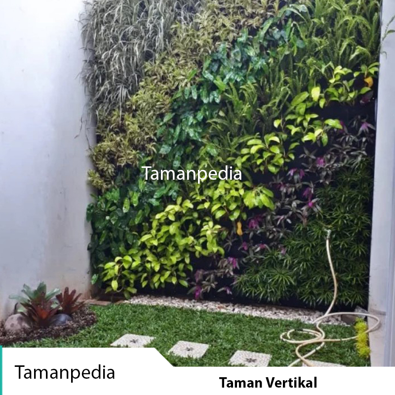 Tukang Taman Dramaga Bogor | Free Survey & Bergaransi