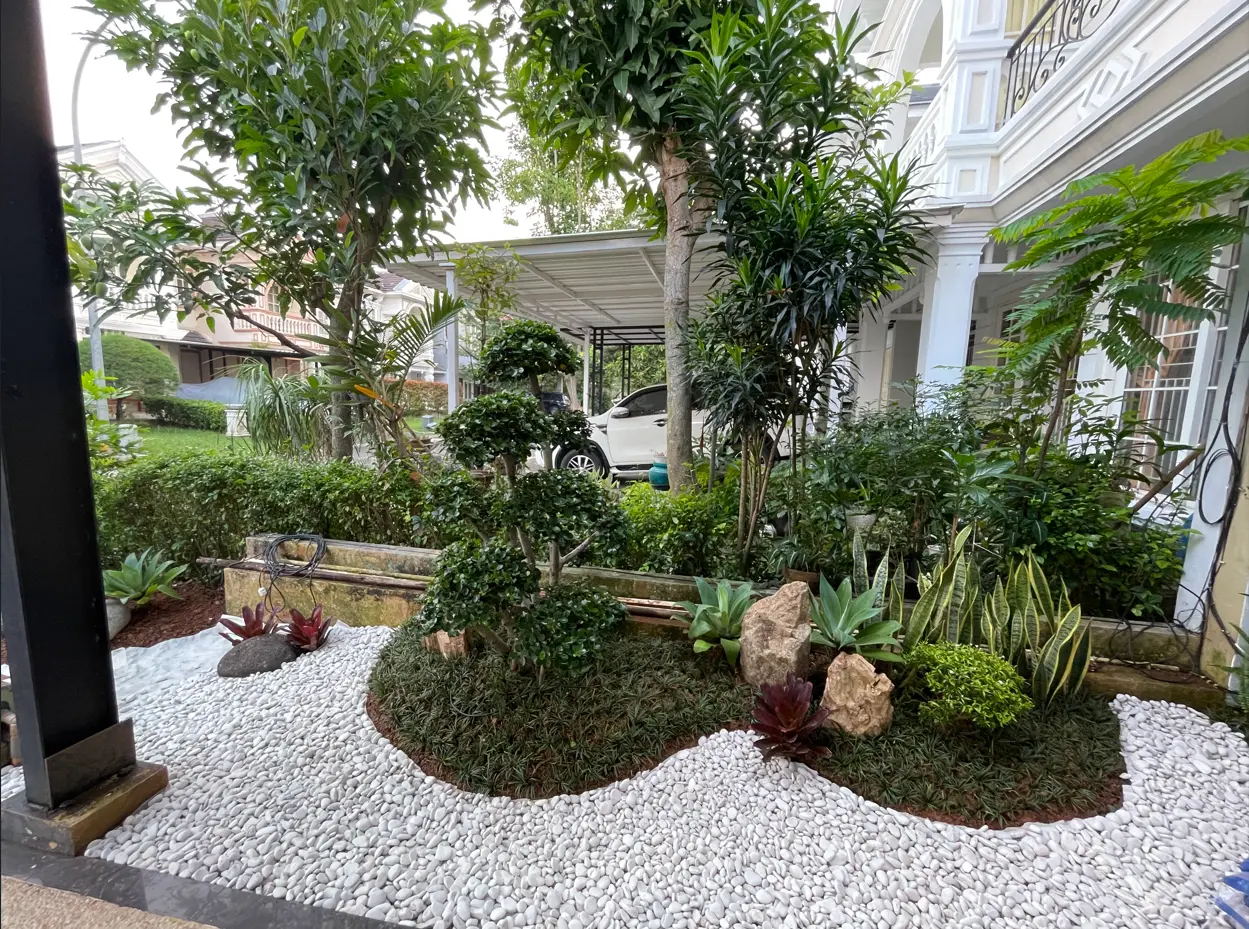 Tukang Taman Rancamaya Golf Ciawi | Resmi & Bergaransi