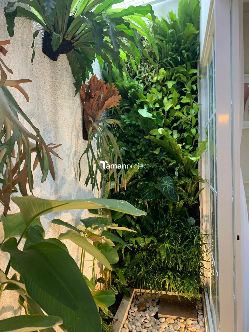 Proyek Vertical Garden by Tamanproject - Sukmajaya depok