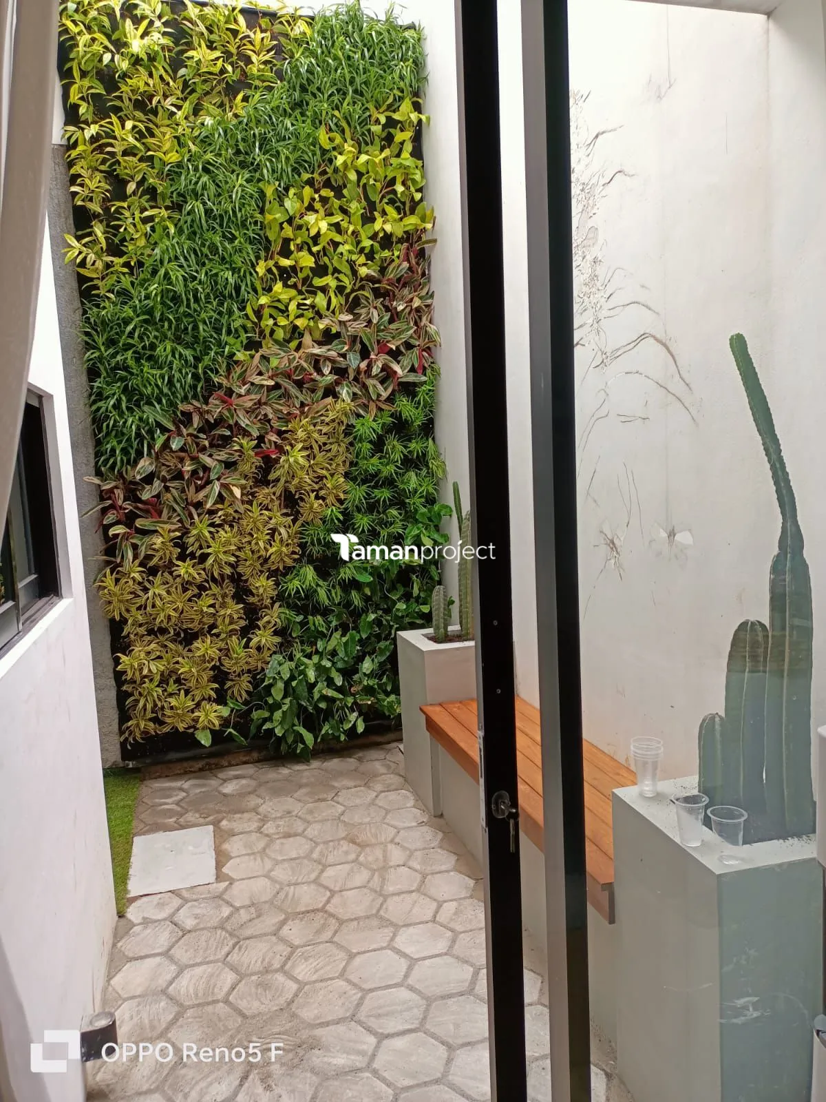 Proyek Vertical Garden Karpet Ibu Anatasya - Balboa Bintaro