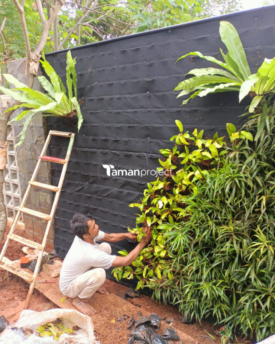 Proyek Vertical Garden Karpet  & Taman Minimalis di BSD