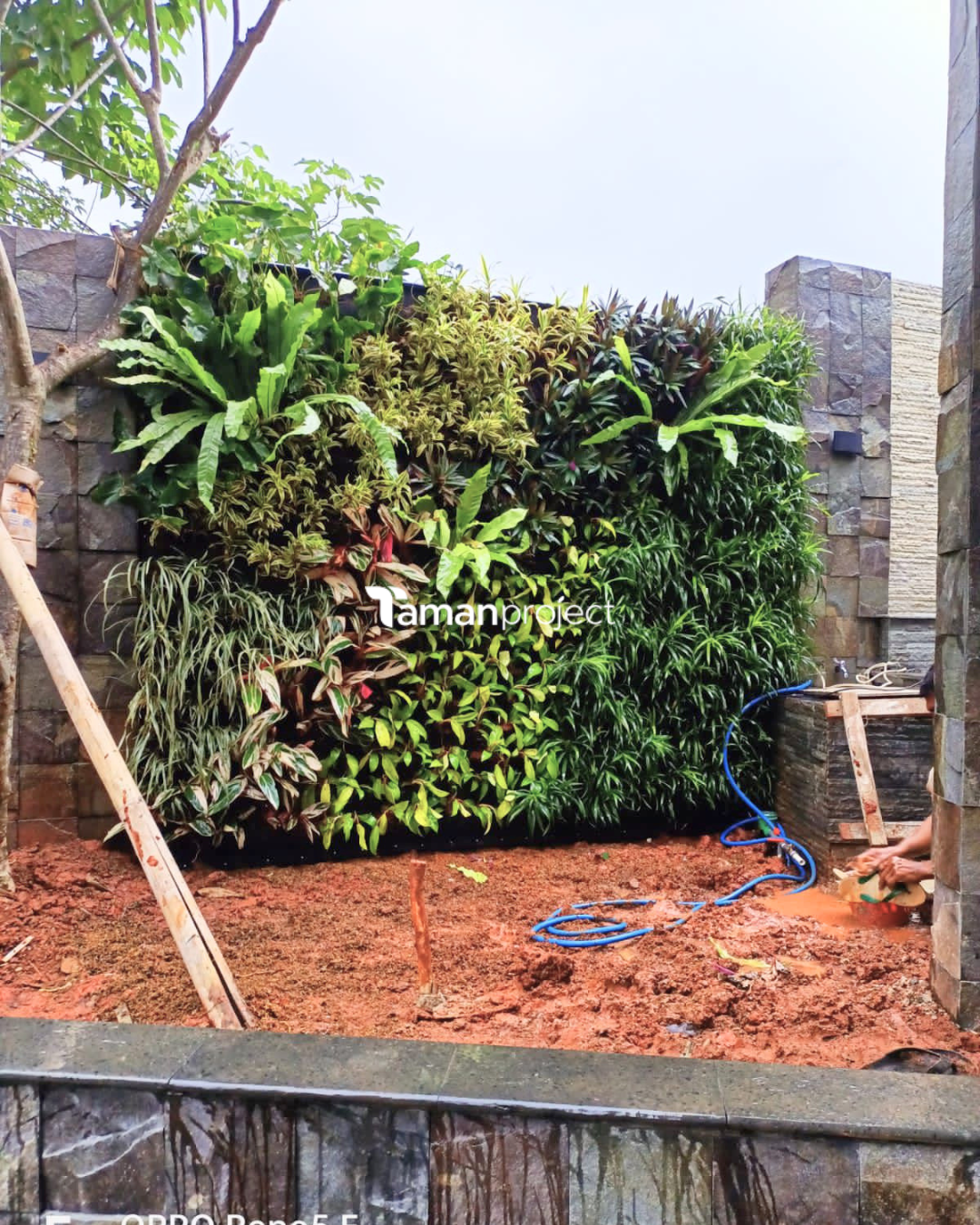 Proyek Vertical Garden Karpet  & Taman Minimalis di BSD
