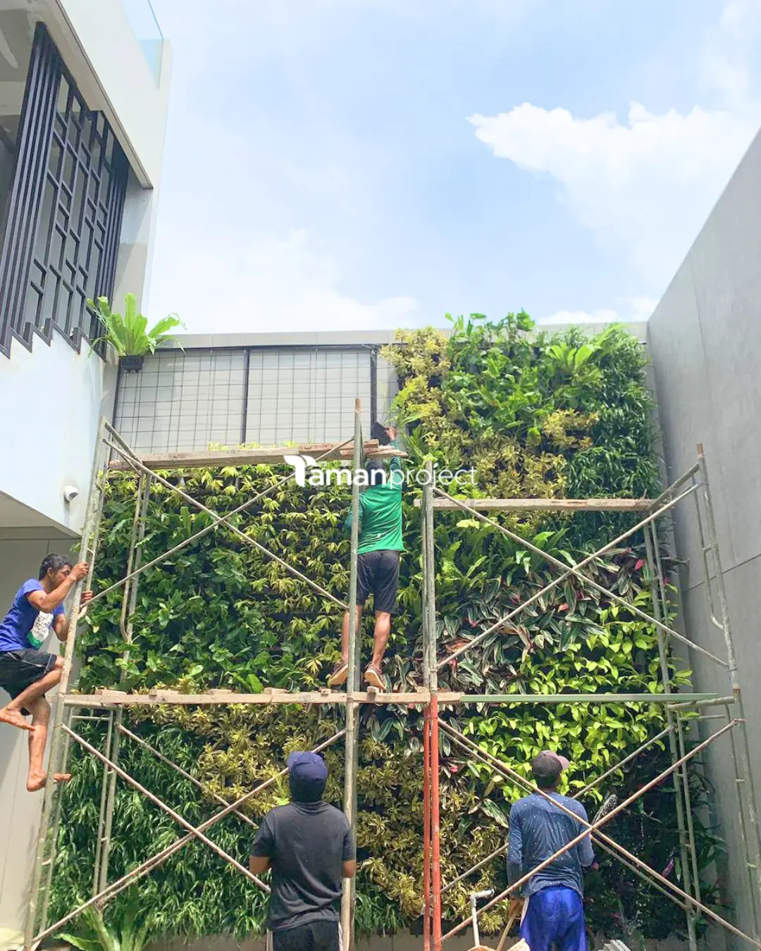 Proyek Vertical Garden POT di BSD