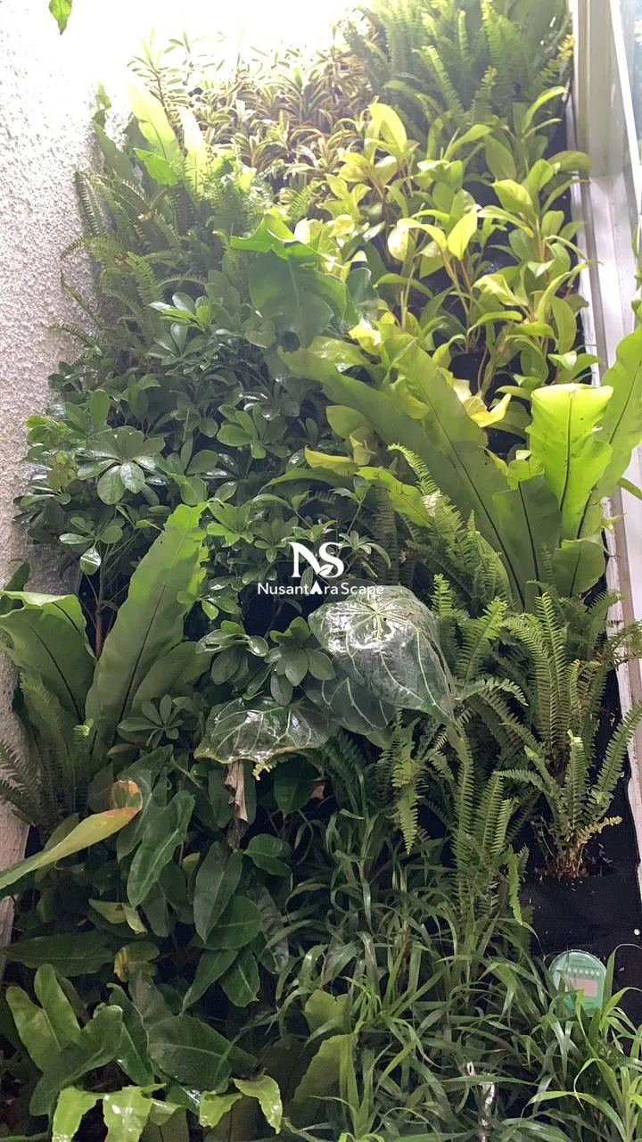 Proyek Vertical Garden by Tamanproject - Sukmajaya depok - Foto Gallery 3