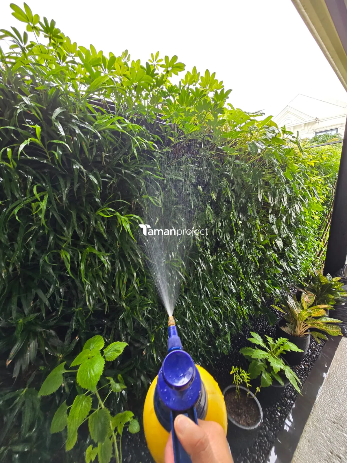 Proyek Vertical Garden Pot | Ibu Angela - Victoria River Park BSD
