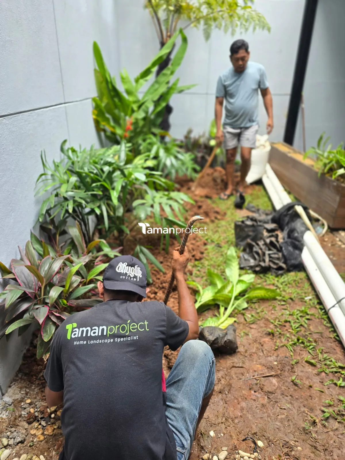 Proyek Taman Kering Tropical di Caspia BSD Pak Doni