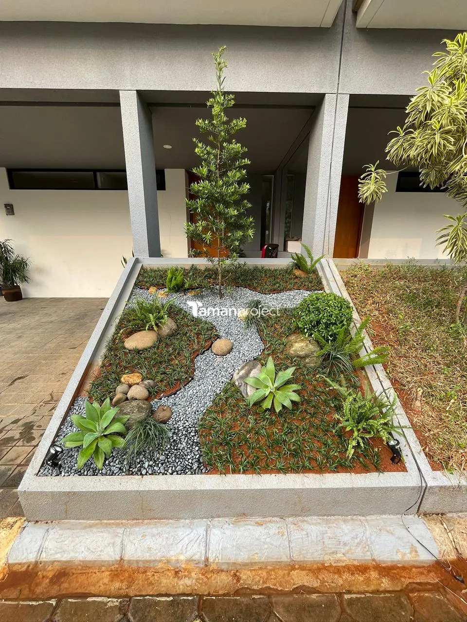 Proyek Taman Kering Tropical di Providence House Ibu Kania