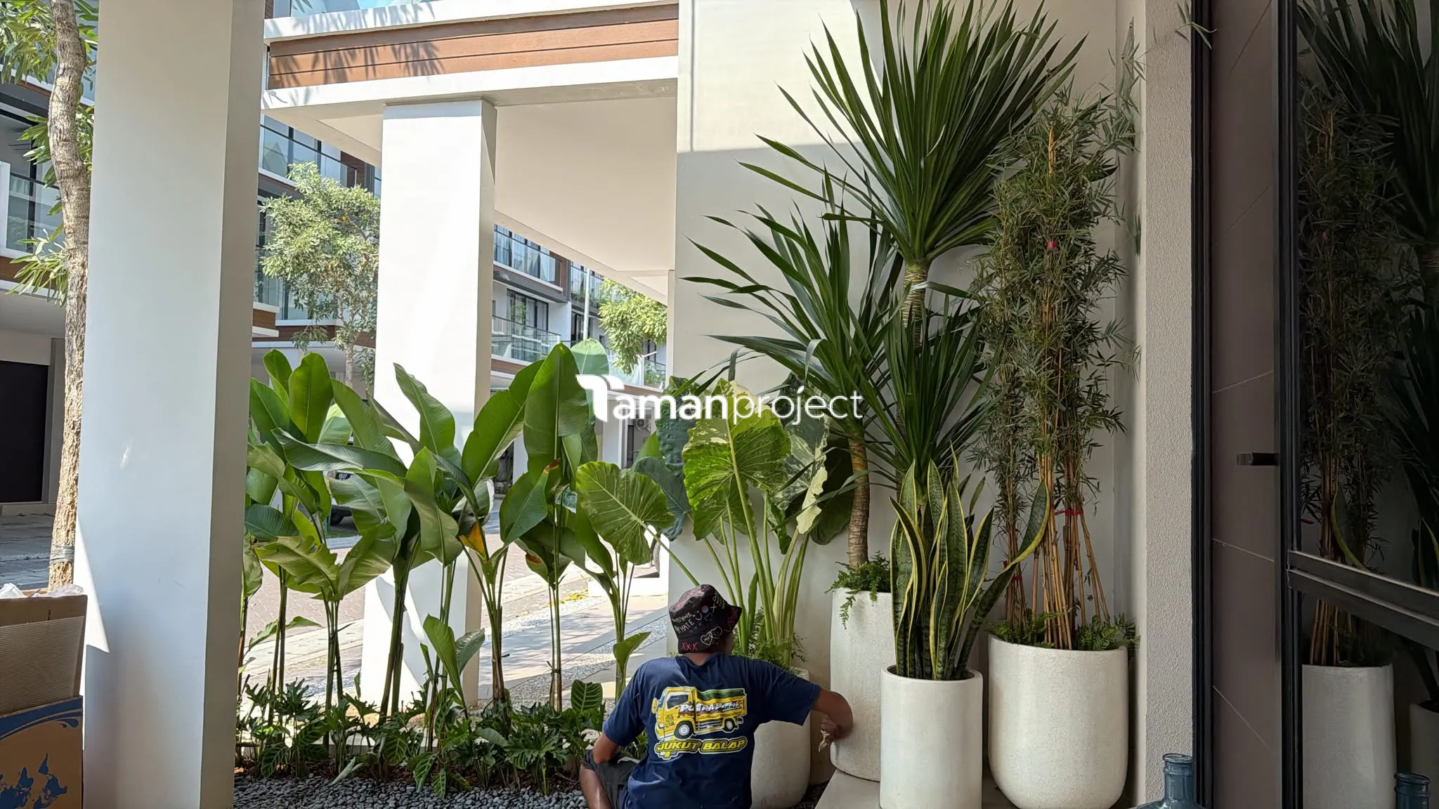 Proyek Taman Tropis Minimalis di South Osaka 7 PIK 2 Pak Hafidz