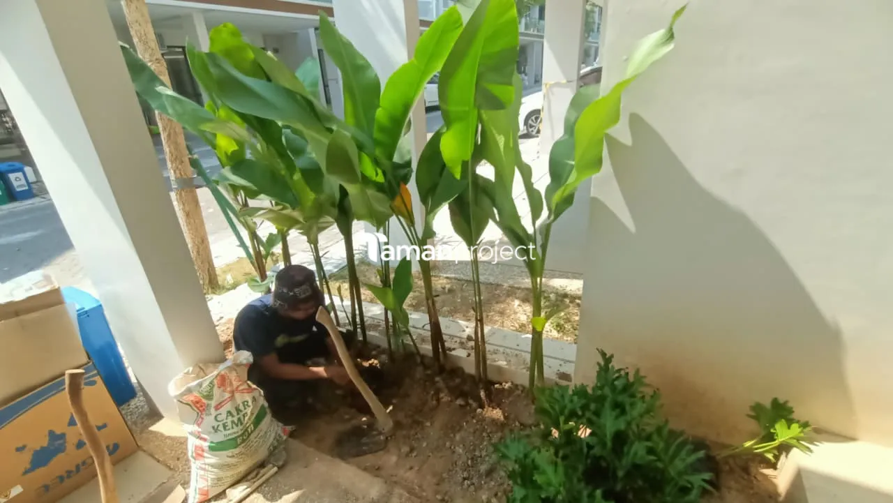 Proyek Taman Tropis Minimalis di South Osaka 7 PIK 2 Pak Hafidz