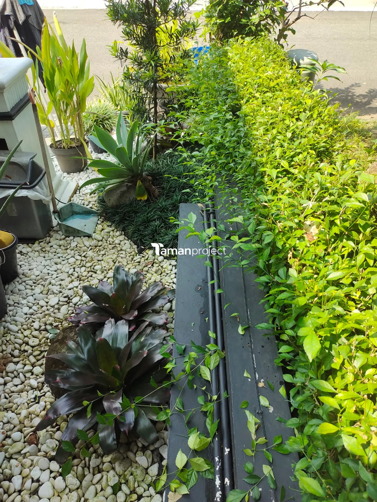 Proyek Perawatan Taman di Victoria River BSD Ibu Angela