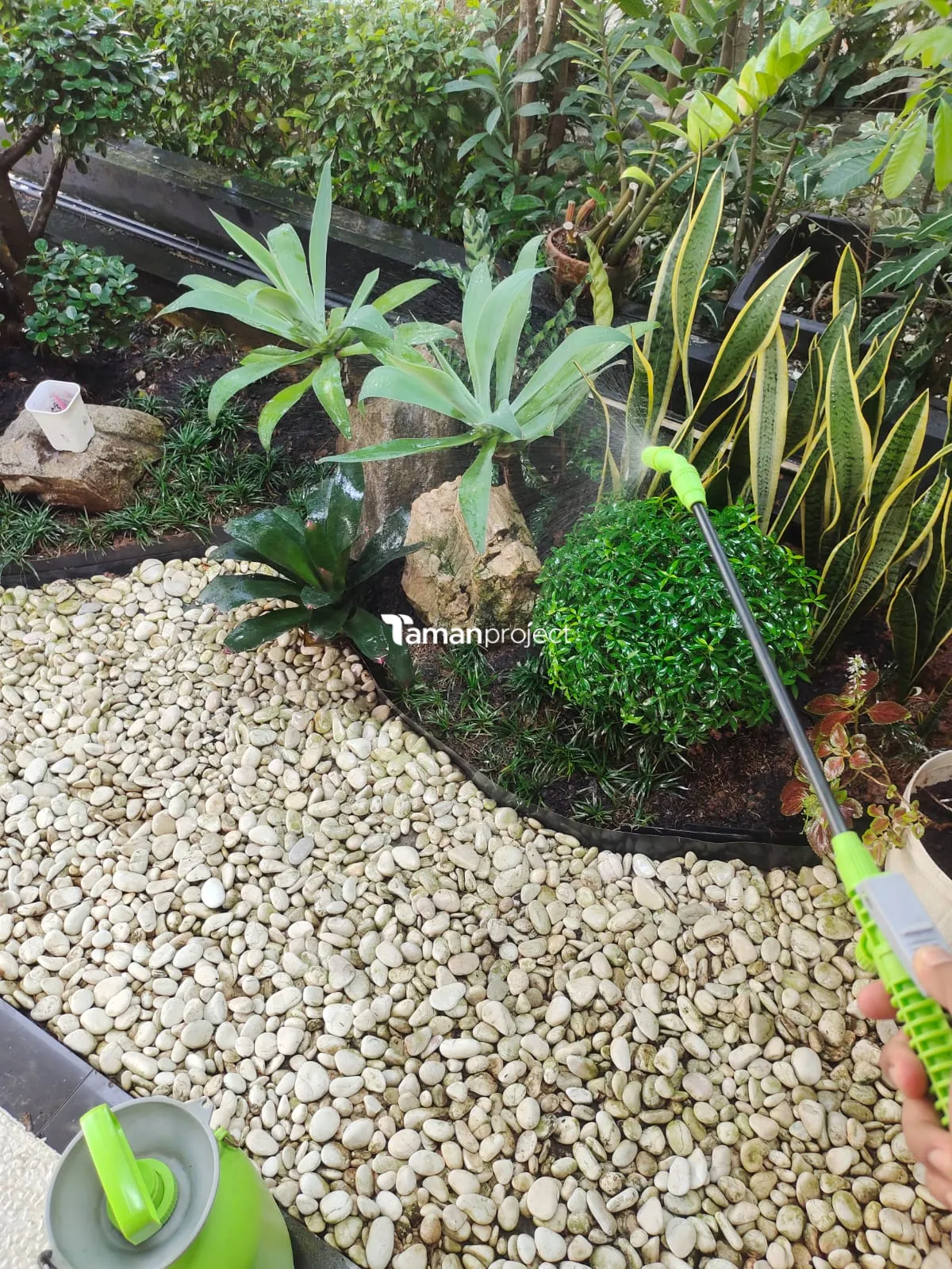 Proyek Perawatan Taman di Victoria River BSD Ibu Angela