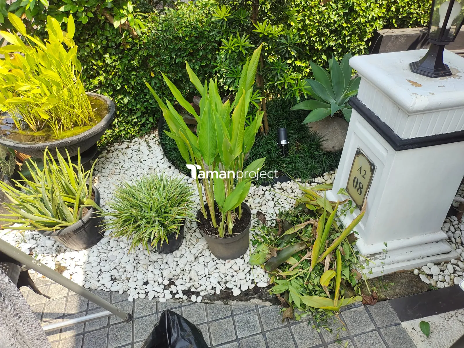 Proyek Perawatan Taman di Victoria River BSD Ibu Angela