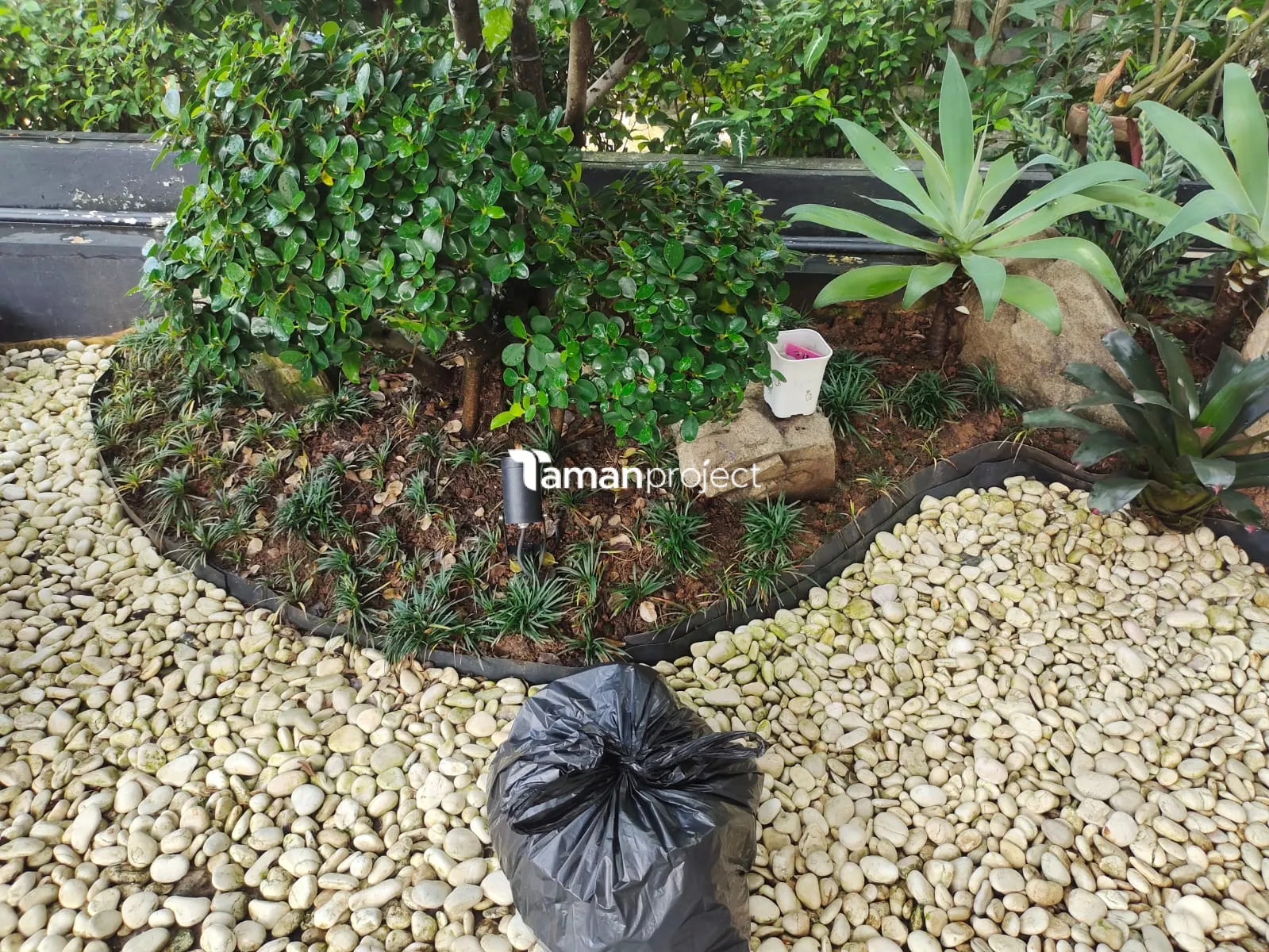 Proyek Perawatan Taman di Victoria River BSD Ibu Angela