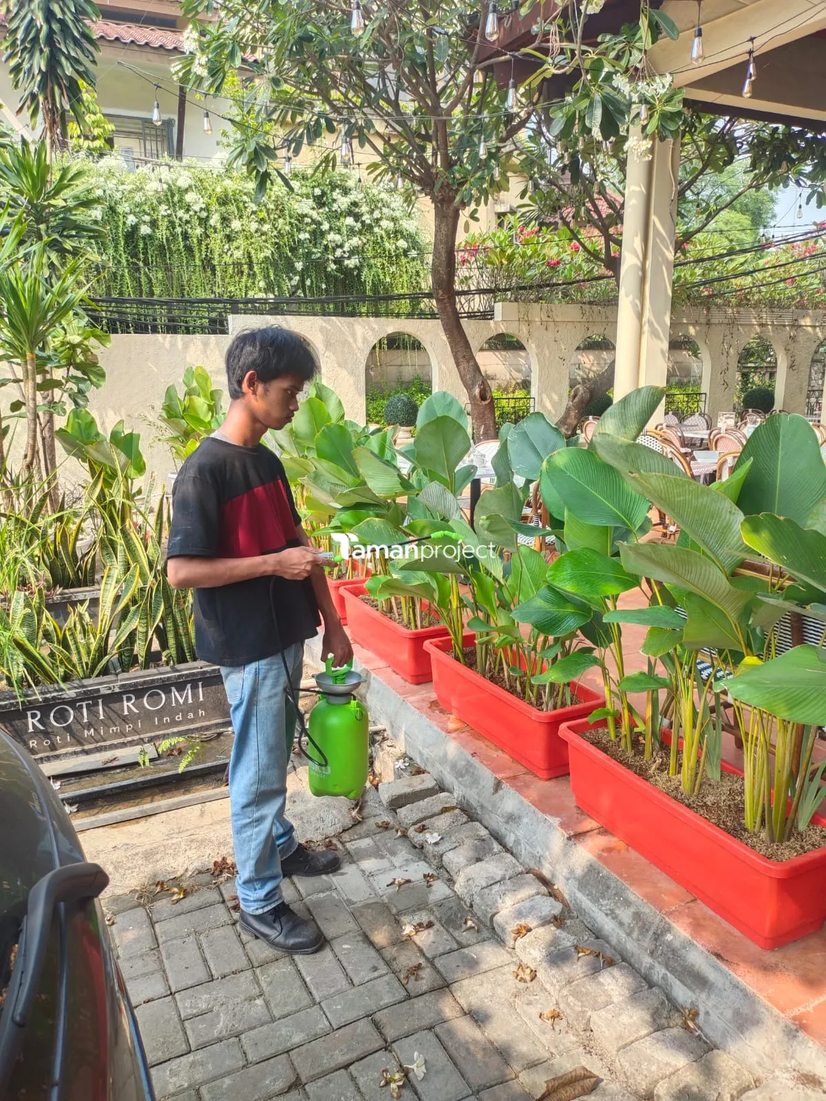 Proyek Perawatan Tanaman di Roti Romi Kemang