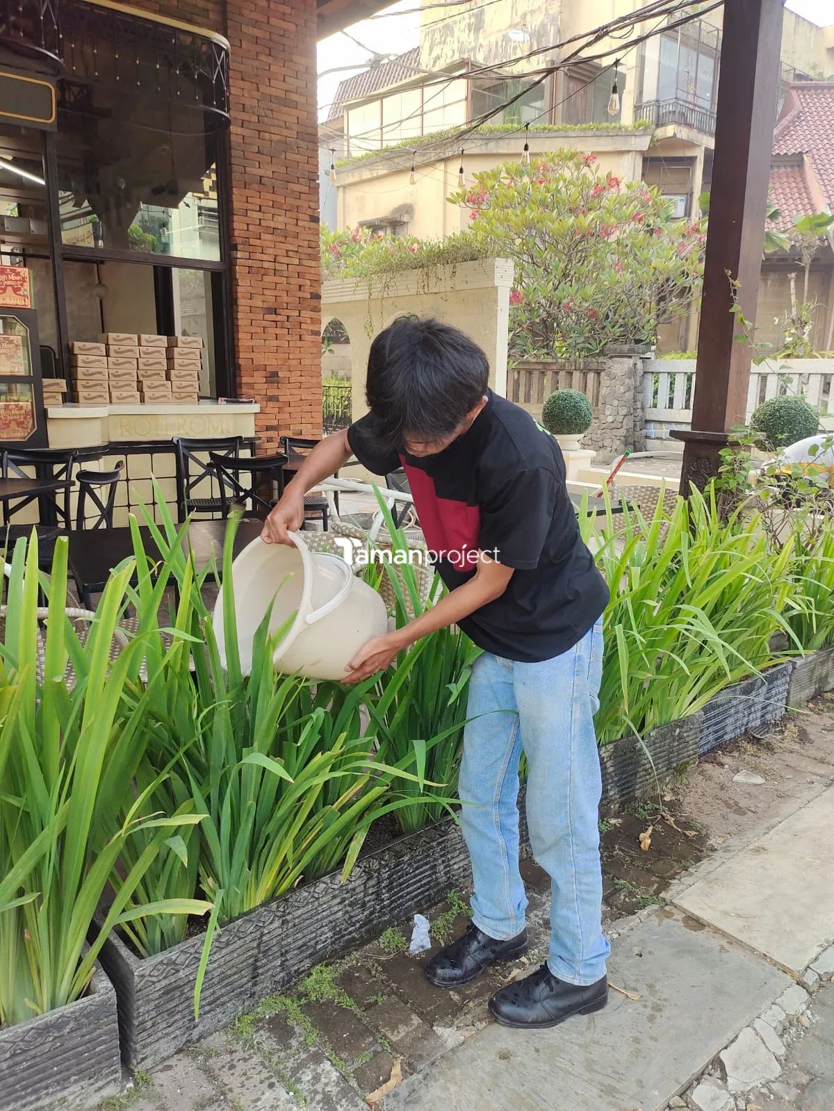 Proyek Perawatan Tanaman di Roti Romi Kemang