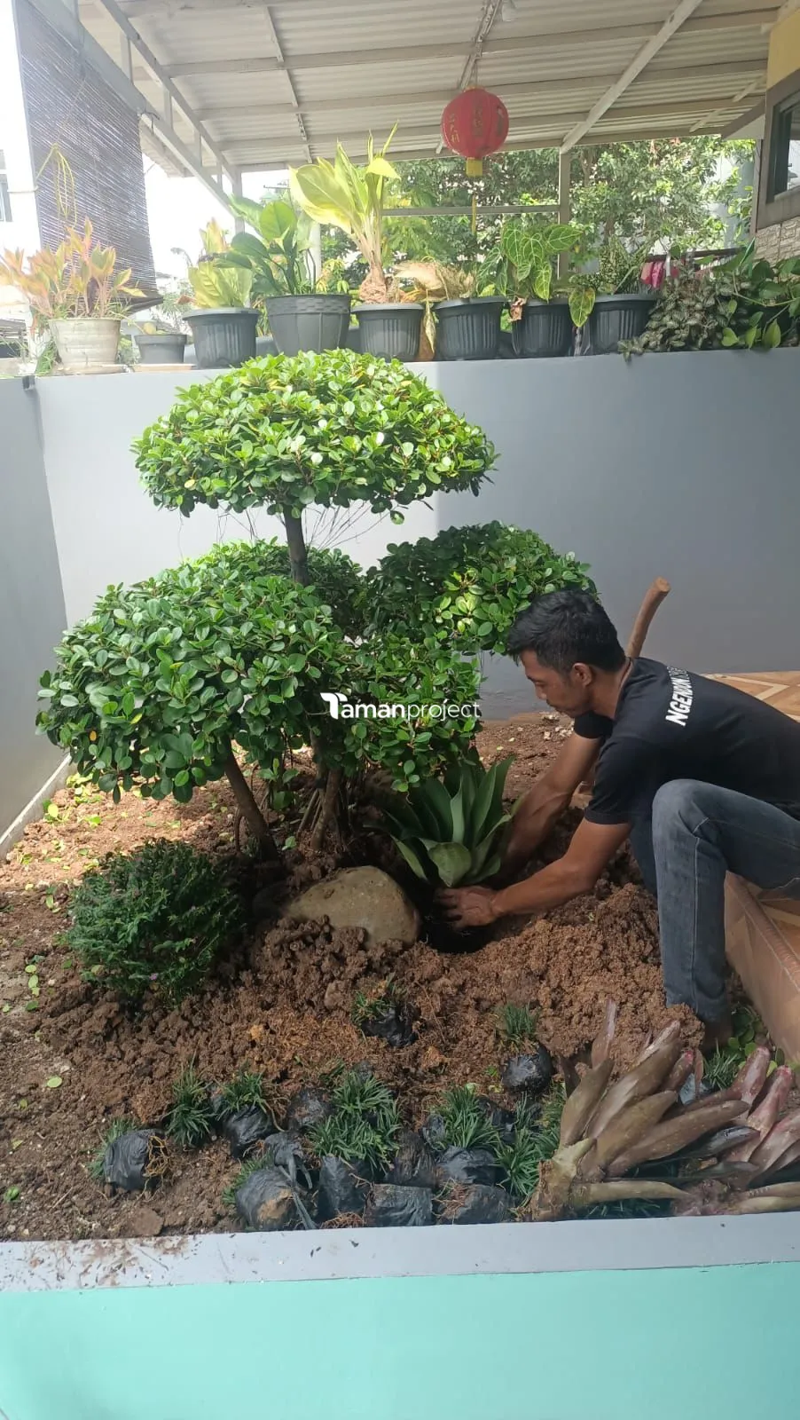 Proyek Taman Kering/ Zen Garden | Pak Fendi, Bekasi