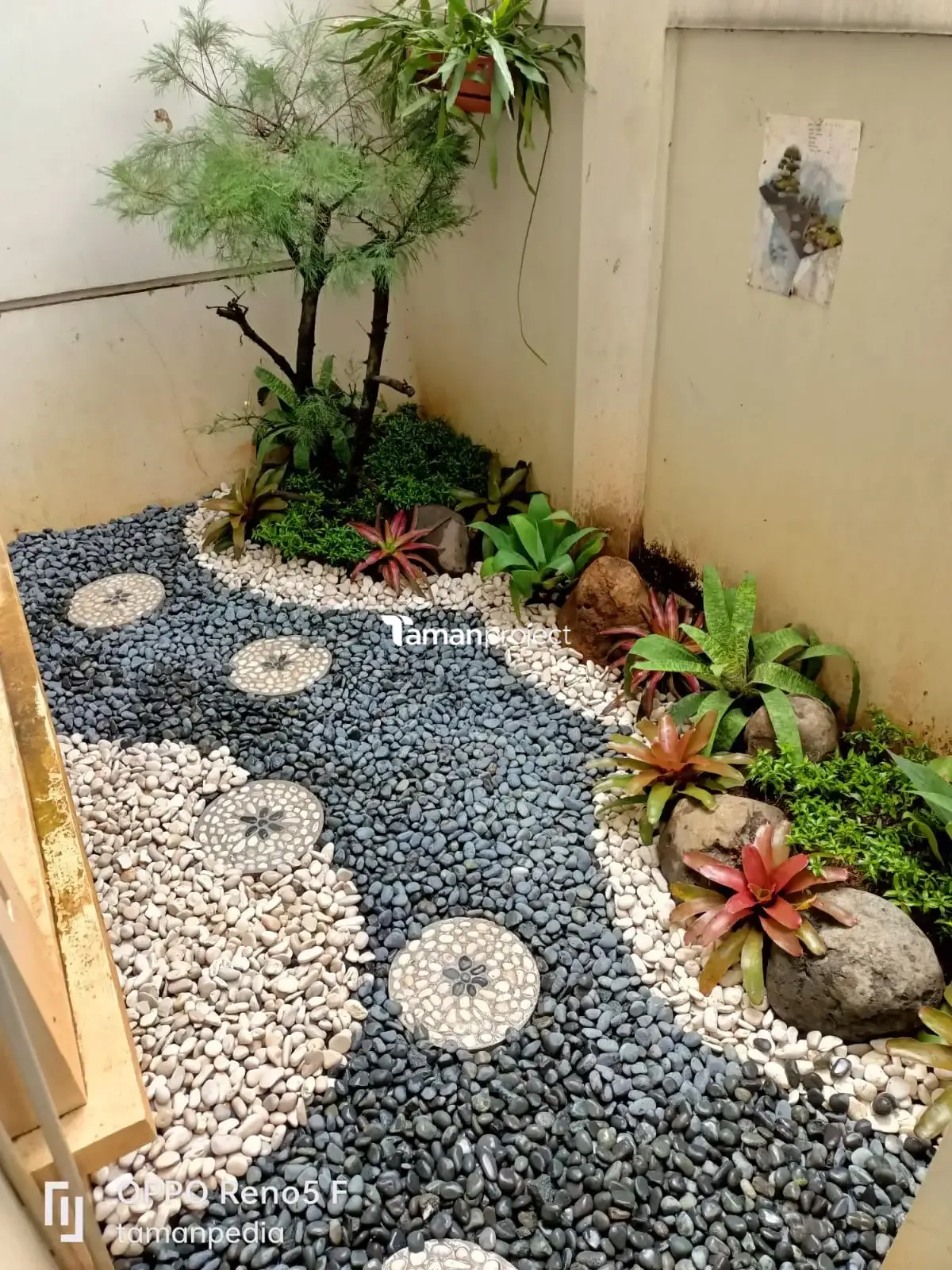 Proyek Taman kering Minimalis Belakang Rumah BSD