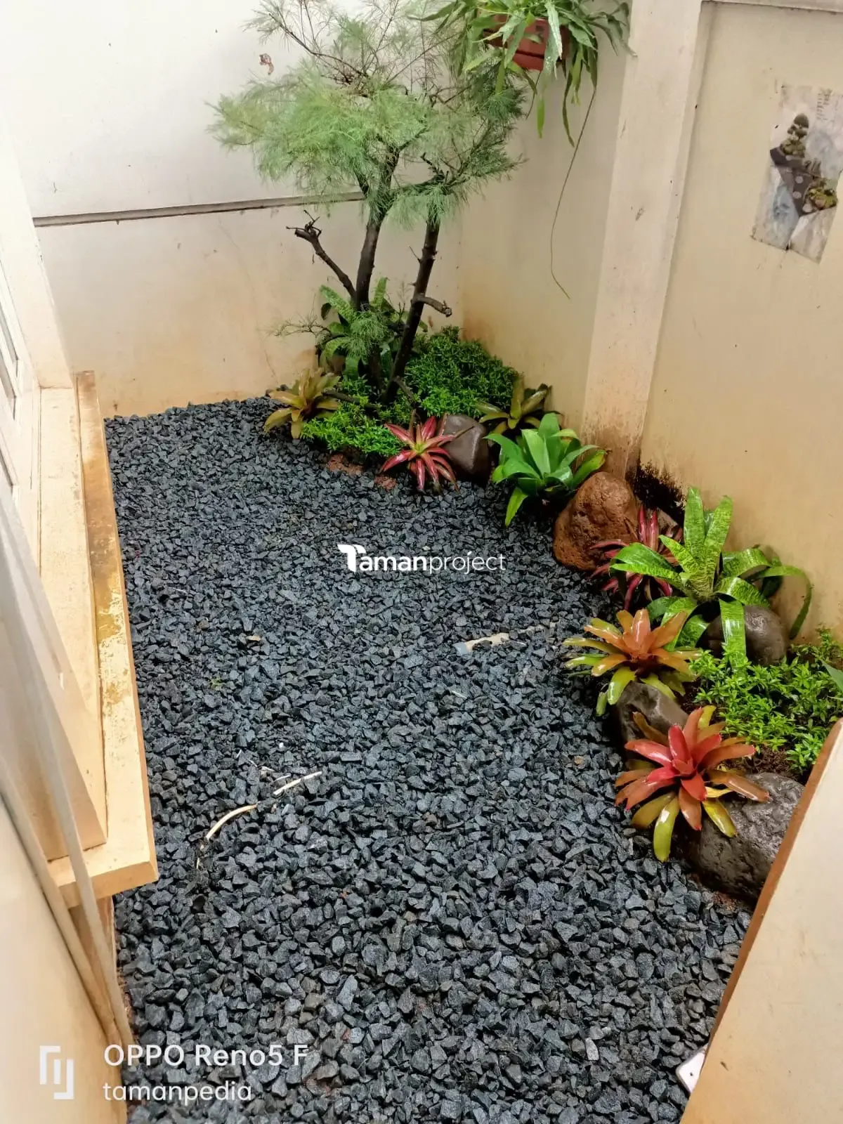 Proyek Taman kering Minimalis Belakang Rumah BSD