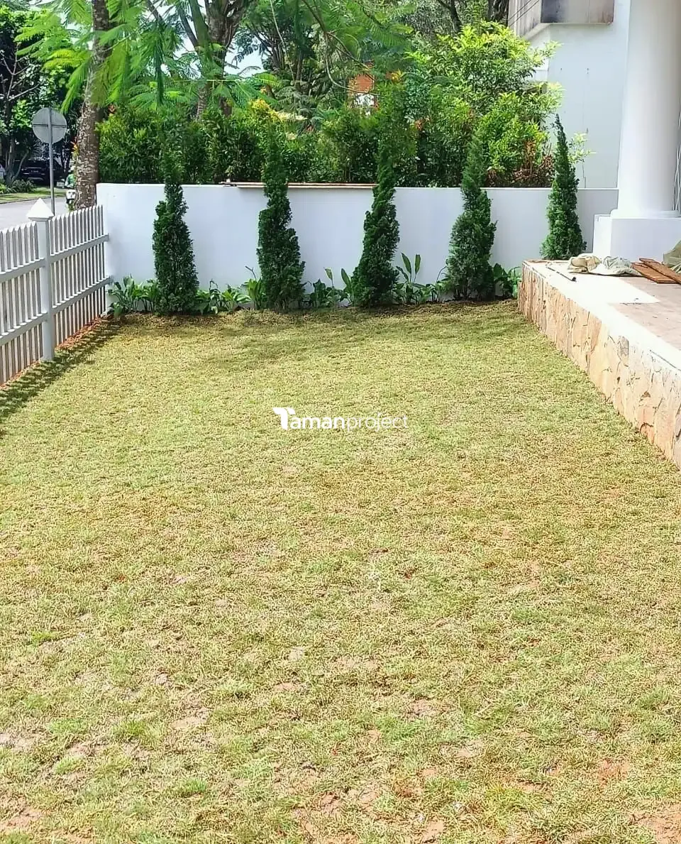Proyek Pemasangan Rumput Jepang di BSD