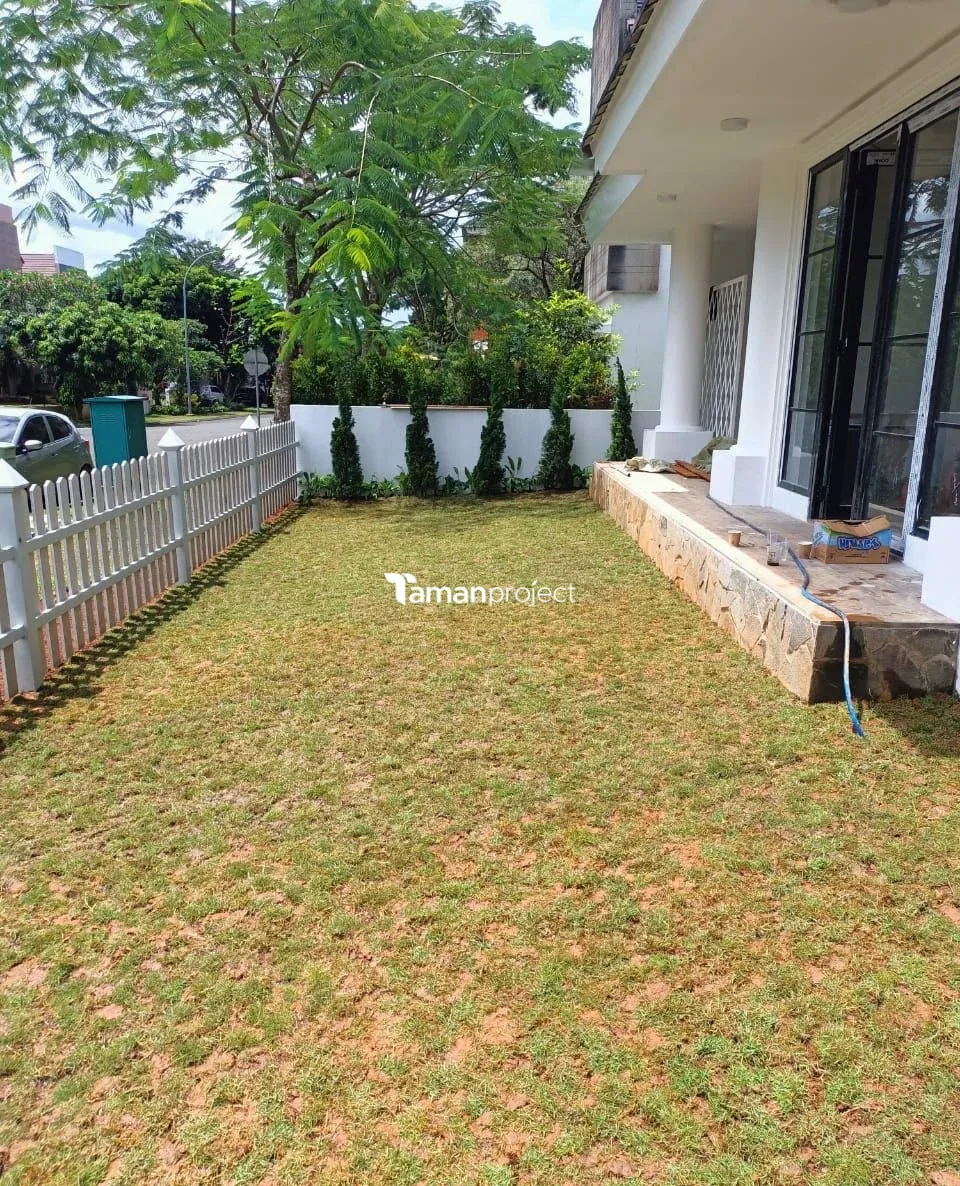 Proyek Pemasangan Rumput Jepang di BSD