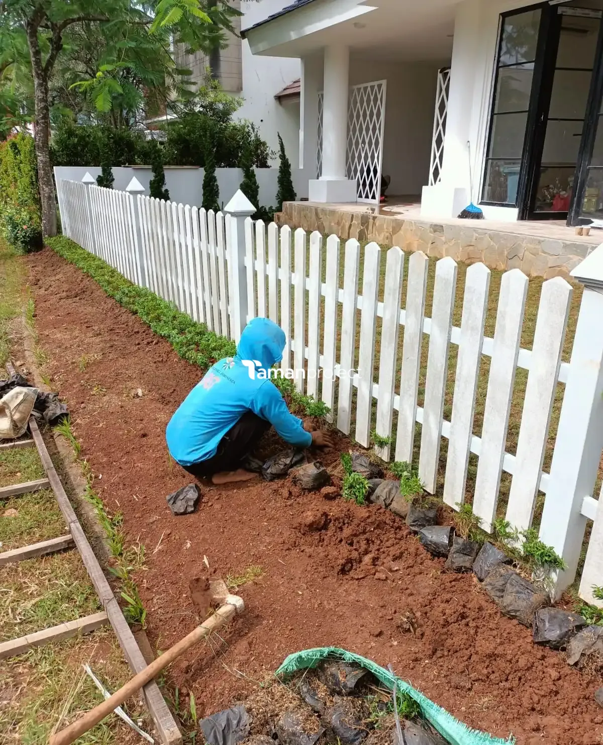Proyek Pemasangan Rumput Jepang di BSD