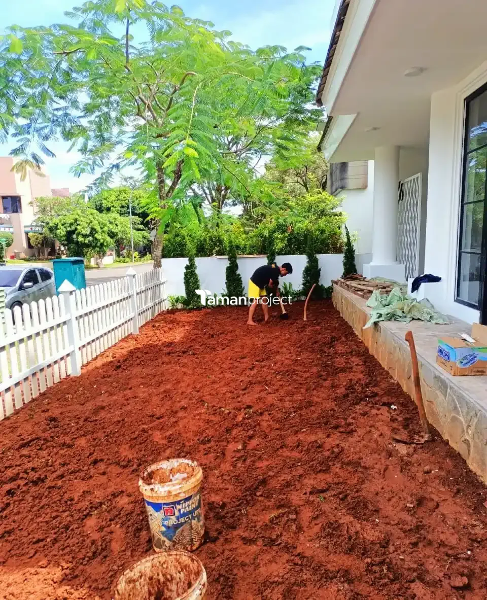Proyek Pemasangan Rumput Jepang di BSD