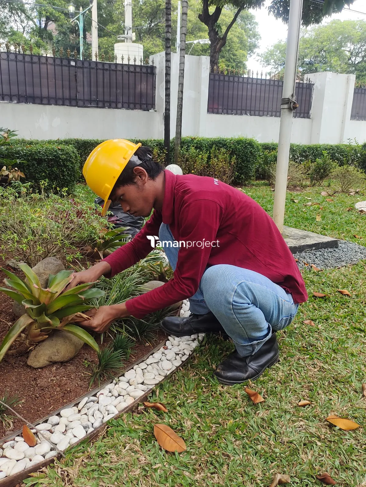 Perawatan Taman PT Permata Karya Jasa Menteng Jakarta