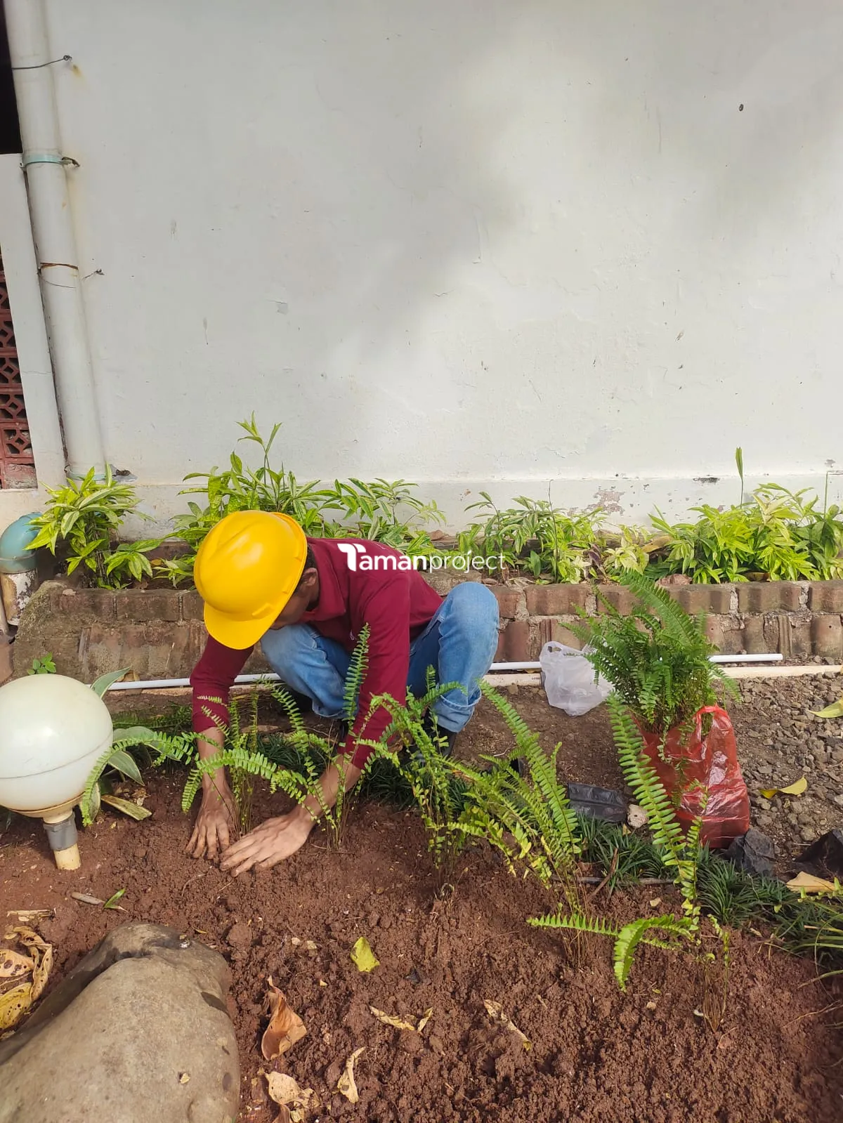 Perawatan Taman PT Permata Karya Jasa Menteng Jakarta