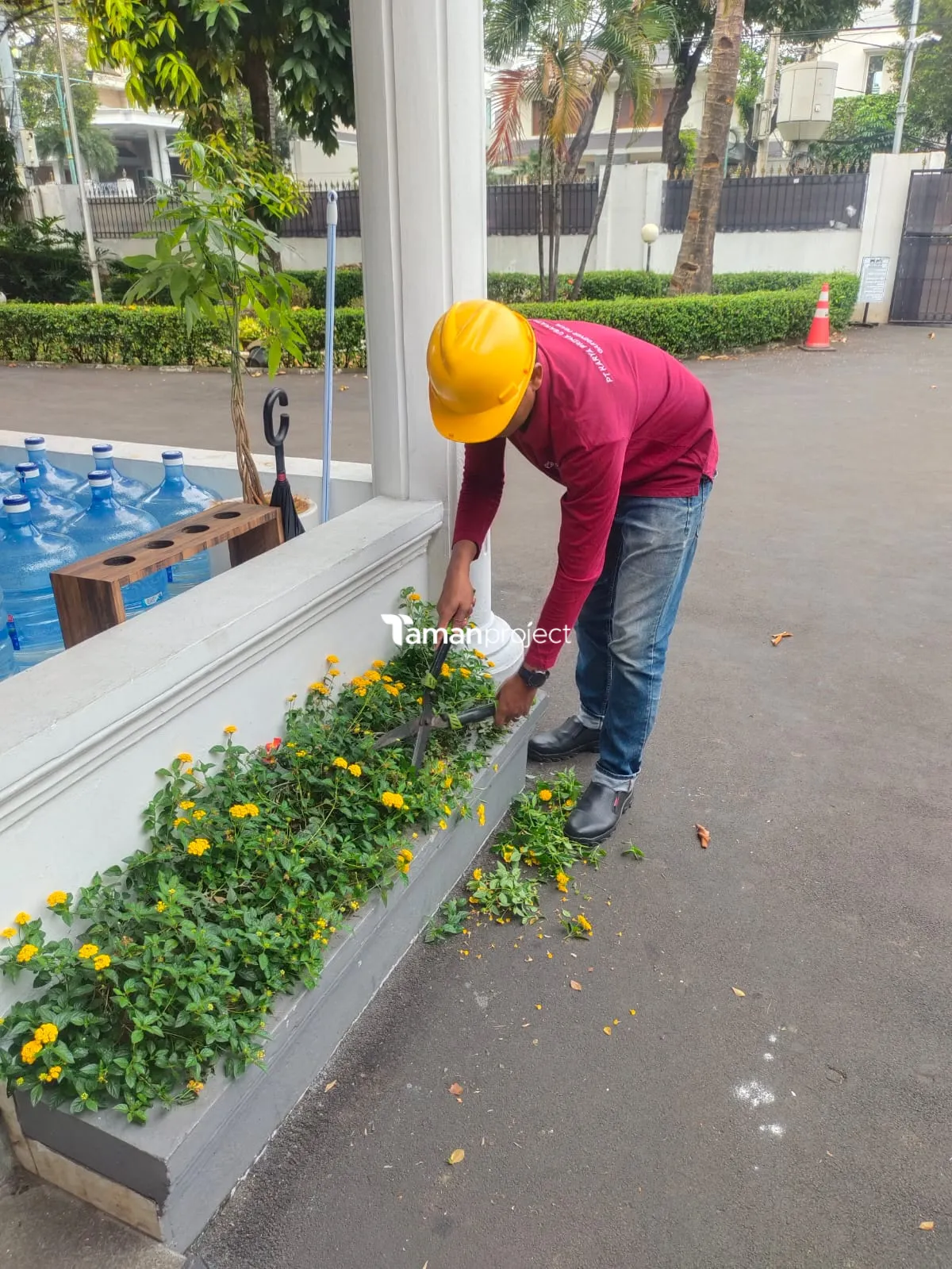 Perawatan Taman PT Permata Karya Jasa Menteng Jakarta
