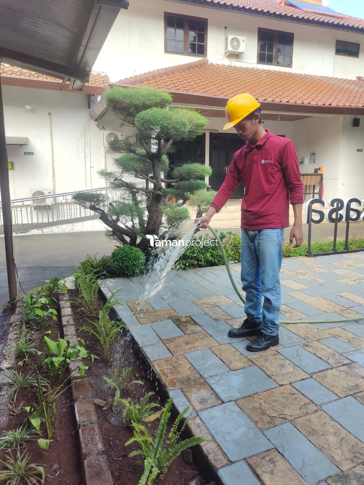 Perawatan Taman PT Permata Karya Jasa Menteng Jakarta