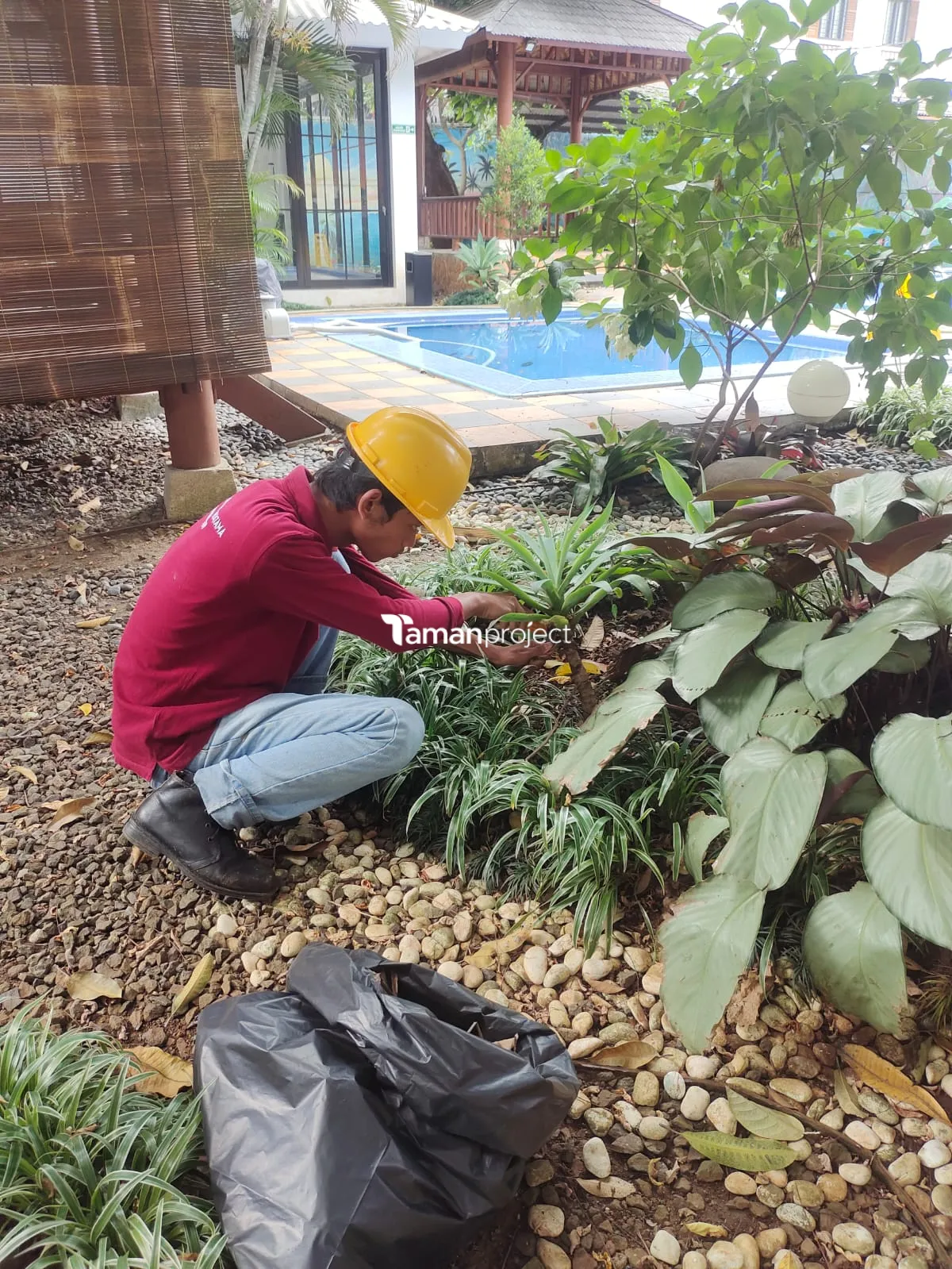Perawatan Taman PT Permata Karya Jasa Menteng Jakarta