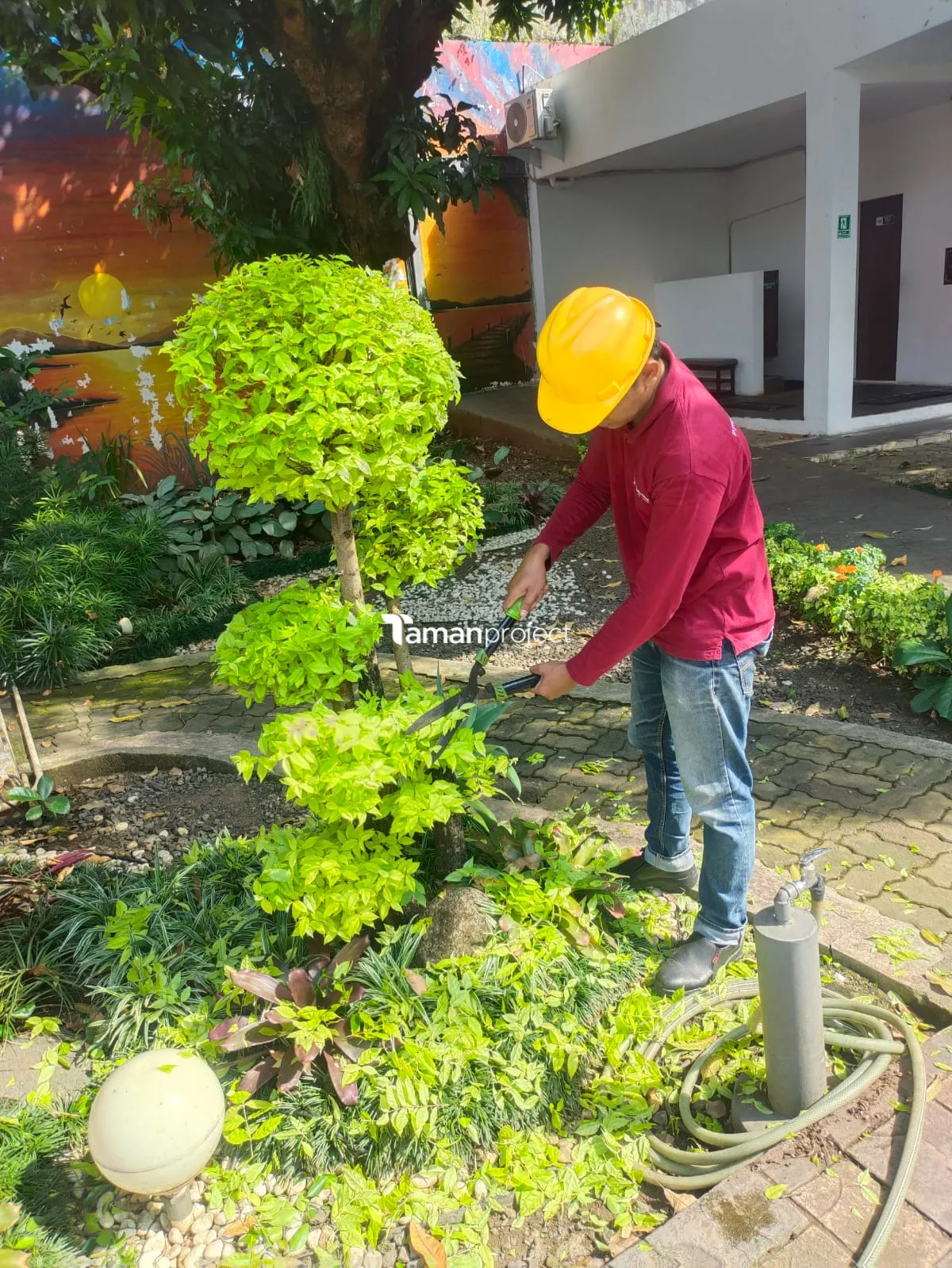 Perawatan Taman PT Permata Karya Jasa Menteng Jakarta