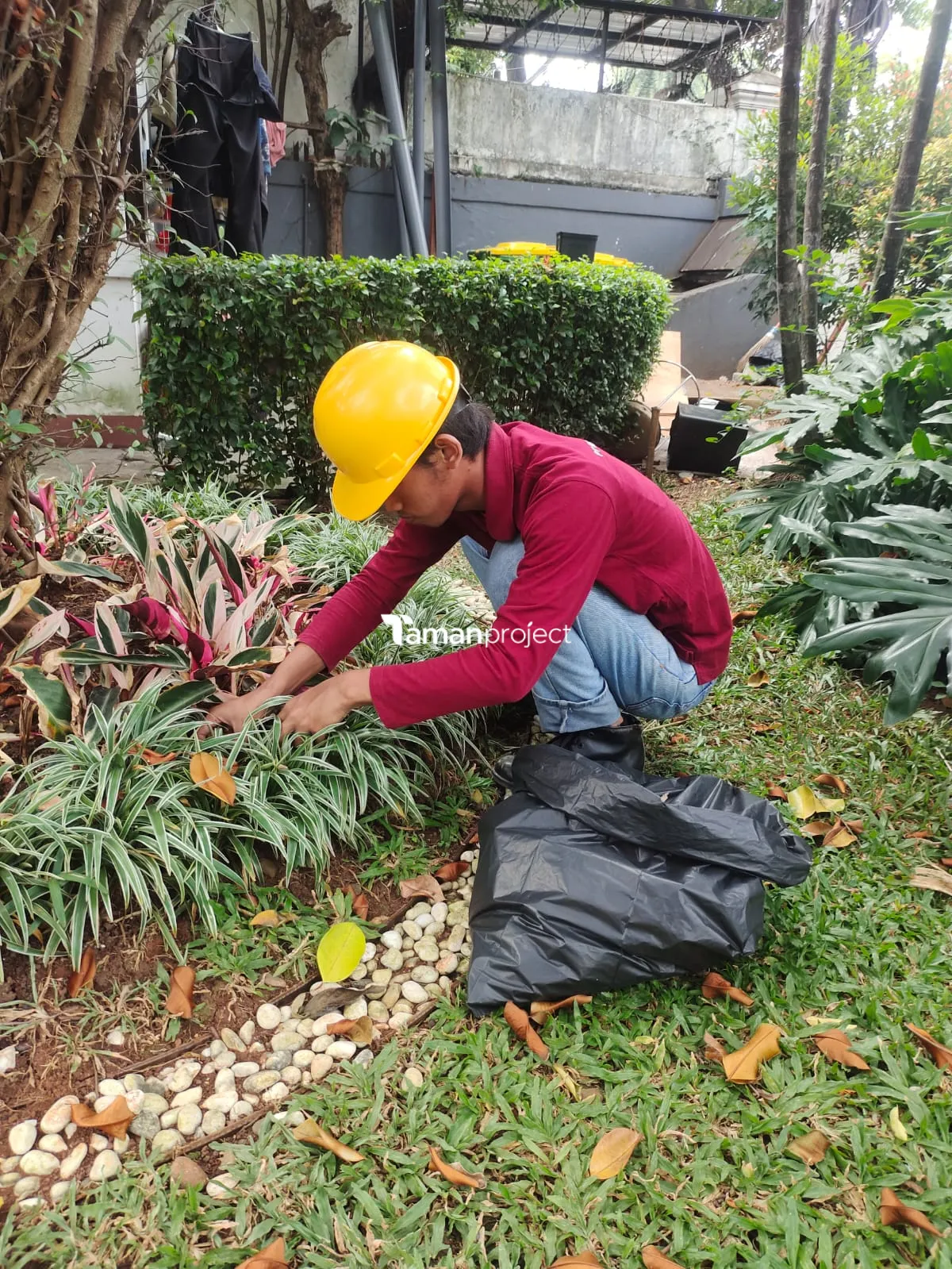Perawatan Taman PT Permata Karya Jasa Menteng Jakarta